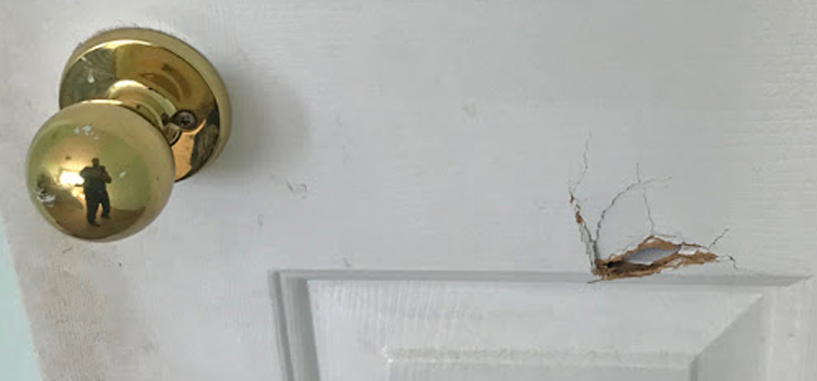 interior door hole repair Pacific Grove