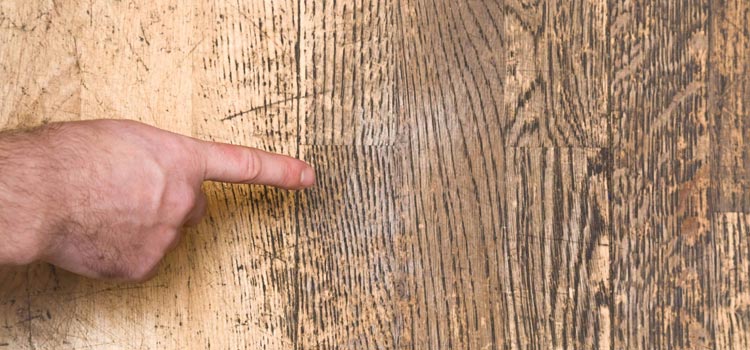 Wood Door Scratch Repair in Pacific Grove